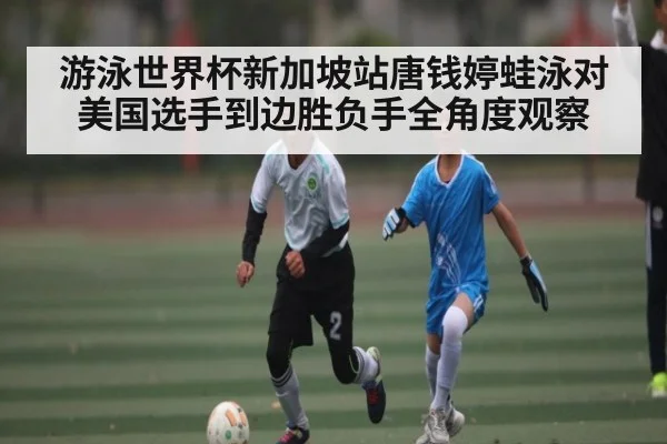 游泳世界杯新加坡站唐钱婷蛙泳对美国选手到边胜负手全角度观察